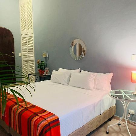 칸쿤 The Quetzal B&B 외부 사진