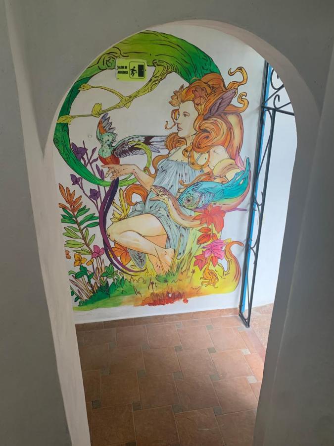 칸쿤 The Quetzal B&B 외부 사진