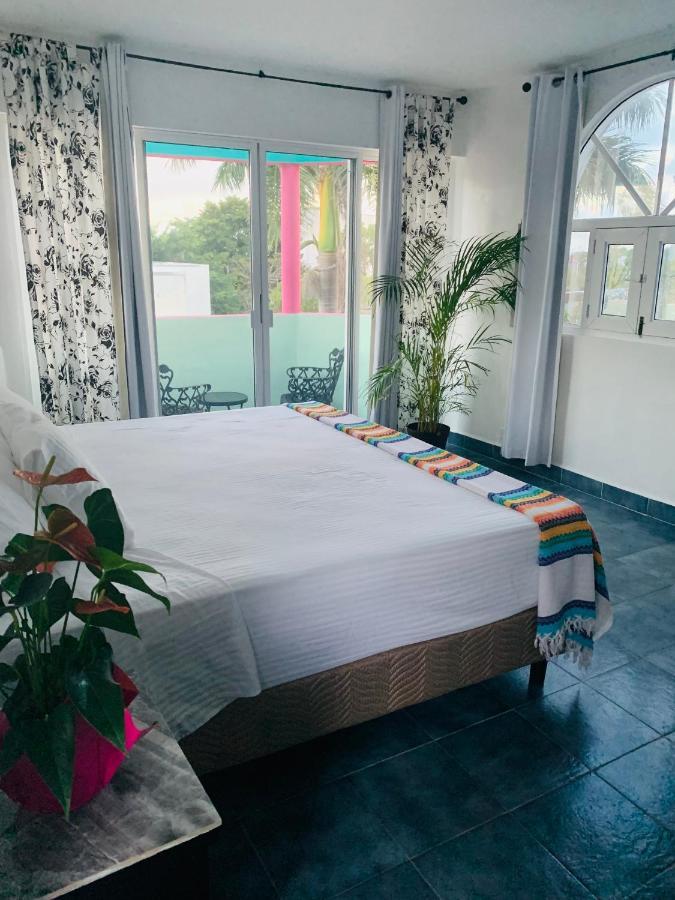 칸쿤 The Quetzal B&B 외부 사진
