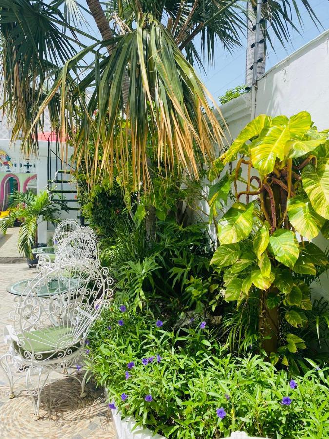 칸쿤 The Quetzal B&B 외부 사진