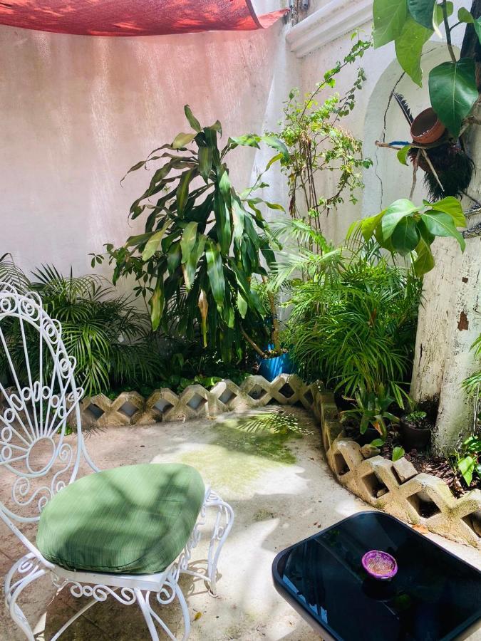 칸쿤 The Quetzal B&B 외부 사진