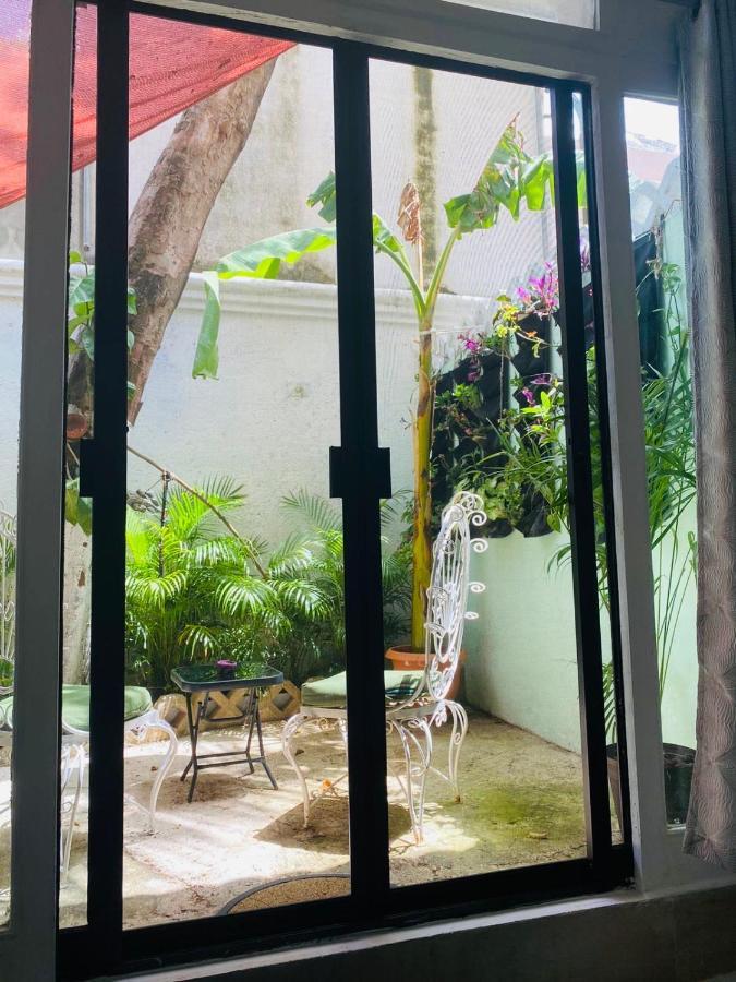 칸쿤 The Quetzal B&B 외부 사진