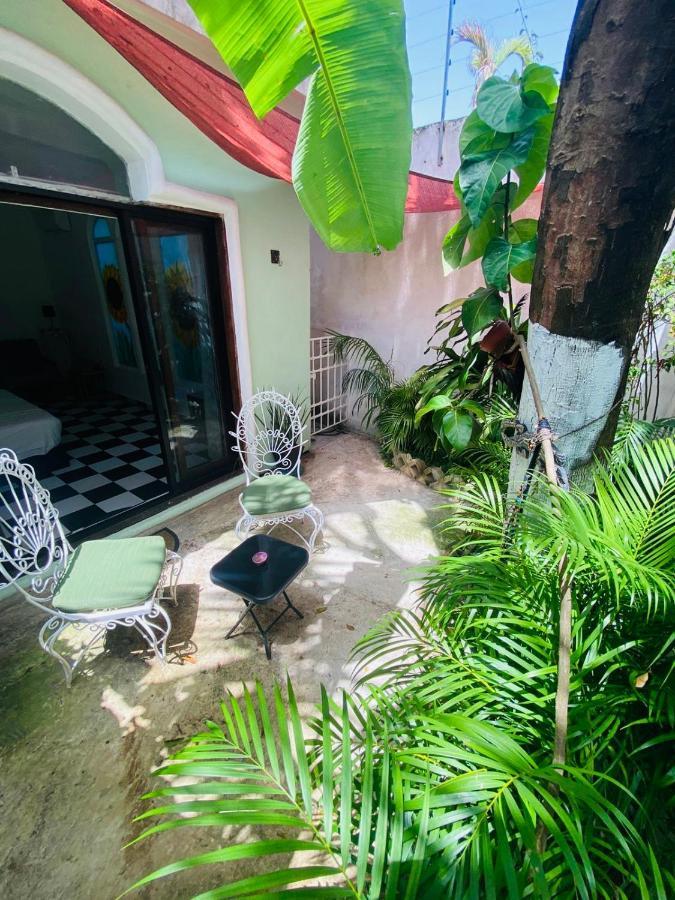 칸쿤 The Quetzal B&B 외부 사진
